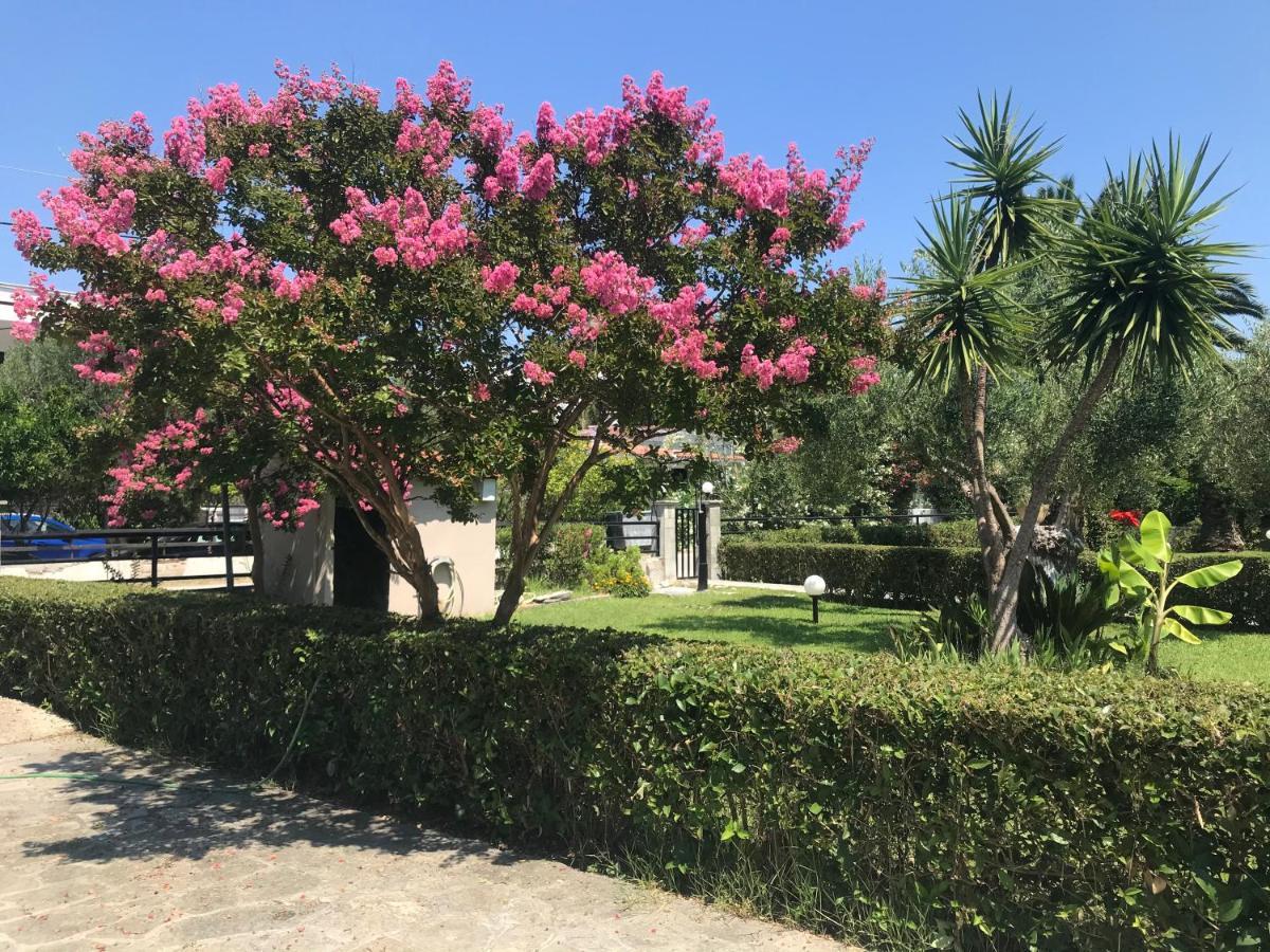 חניוטי Villa Diamantis Apartments מראה חיצוני תמונה